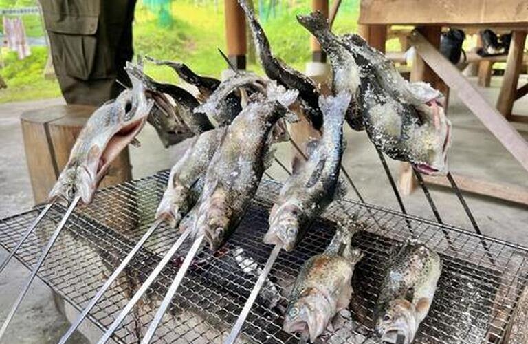 といろ蓮田　ニジマス釣り🎣
